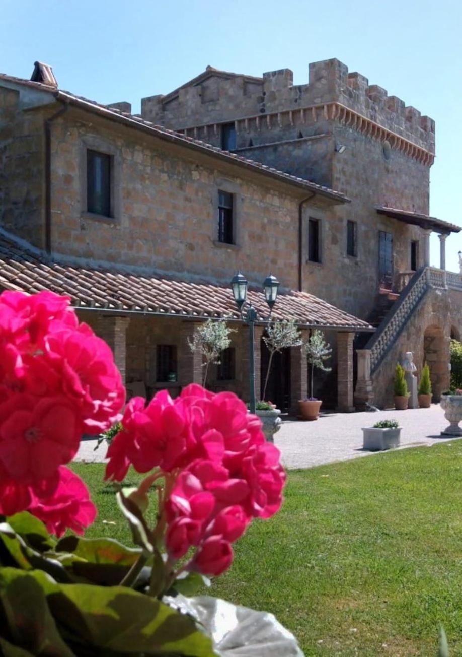 Apartamento Dependance Torretta Pucci Civitella dʼAgliano Exterior foto